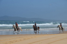 Australia-NSW-Kerewong Hinterland Adventure